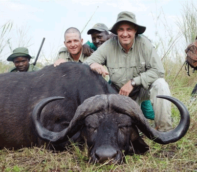 Tanzania Buffalo