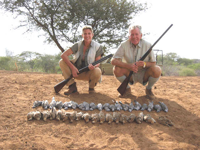 Kenya Sand Grouse & Doves