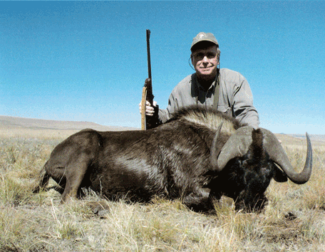 South Africa Black Wilde