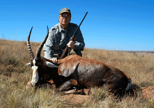South Africa Blessbuck