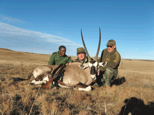 South Africa Gemsbok