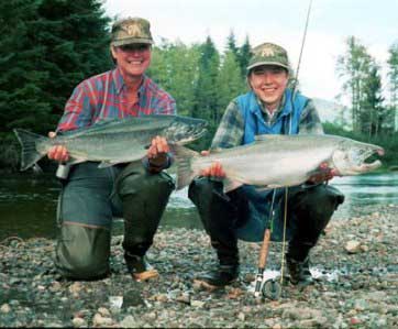 Alaska Salmon