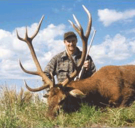 Argentina Red Stag
