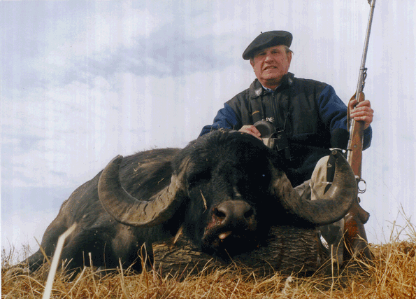 Asian Water Buffalo