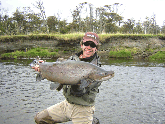 Sea Run Brown Trout