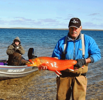 Artic Circle - Artic Char
