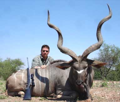 Plains Game Kudu