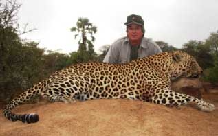Zimbabwe Leopard