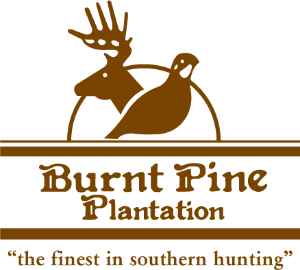 Burnt Pine Plantation
