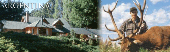 Argentina Red Stag