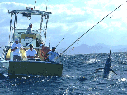 Panama Fishing