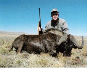 # 16 South Africa Black Wildebeest