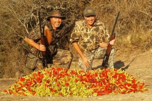 Argentina_dove_hunt