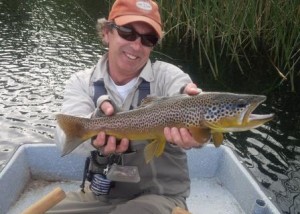 Brown Trout