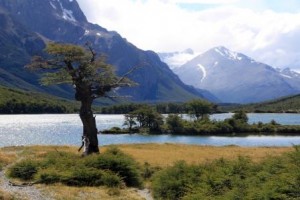 Patagonia Lake