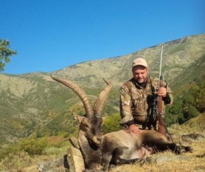 Spanish Ibex Lres