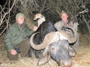 Buffalo Shiawela