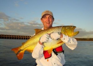 Randy's Golden Dorado